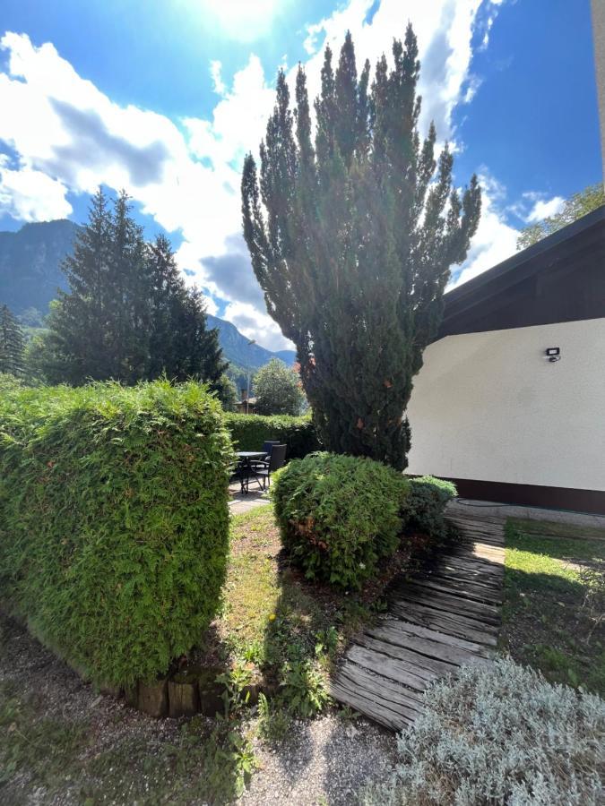 Pod Galetovcem Lejlighed Bohinjska Bela Eksteriør billede